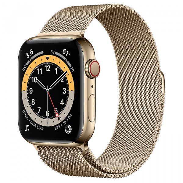 Apple Watch Series 6 Edelstahl Gold