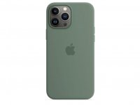 Apple Silikon Case für iPhone 13 Pro Max Eukalyptus